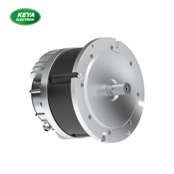 KY体育·(国际)官方网站215系列48V 4000W 1500RPM